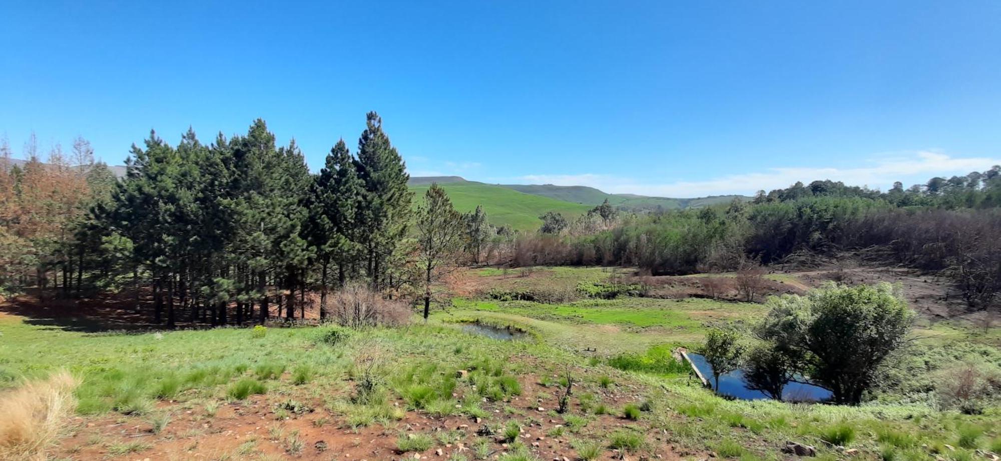 Schaefers' Halt Hotel Dullstroom Kültér fotó